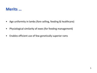 Merits …
• Age uniformity in lambs (fore selling, feeding & healthcare)
• Physiological similarity of ewes (for feeding management)
• Enables efficient use of few genetically superior rams
5
 