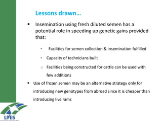 Oestrus synchronization and AI as tools for rapid dissemination of improved sheep genotypes