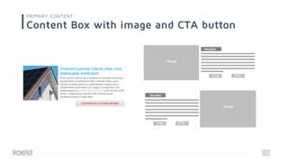 13
PRIMARY CONTENT
Content Box with image and CTA button
Image
Header
CTA CTA
Image
CTA CTA
Header
 