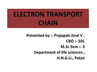 ELECTRON TRANSPORT
CHAIN
Presented by :- Prajapati Jinal V .
CBO :- 501
M.Sc Sem :- 3
Department of life sciences ,
H.N.G.U., Patan
 