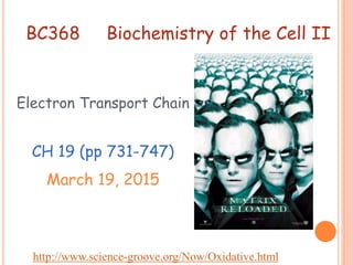 BC368
Electron Transport Chain
CH 19 (pp 731-747)
March 19, 2015
Biochemistry of the Cell II
http://www.science-groove.org/Now/Oxidative.html
 