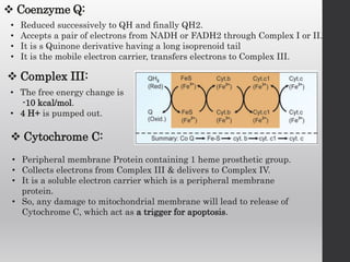  Coenzyme Q:
• Reduced successively to QH and finally QH2.
• Accepts a pair of electrons from NADH or FADH2 through Complex I or II.
• It is s Quinone derivative having a long isoprenoid tail
• It is the mobile electron carrier, transfers electrons to Complex III.
 Complex III:
• The free energy change is
-10 kcal/mol.
• 4 H+ is pumped out.
 Cytochrome C:
• Peripheral membrane Protein containing 1 heme prosthetic group.
• Collects electrons from Complex III & delivers to Complex IV.
• It is a soluble electron carrier which is a peripheral membrane
protein.
• So, any damage to mitochondrial membrane will lead to release of
Cytochrome C, which act as a trigger for apoptosis.
 