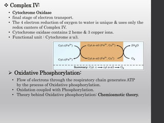 Complex IV:
• Cytochrome Oxidase
• final stage of electron transport.
• The 4 electron reduction of oxygen to water is unique & uses only the
redox canters of Complex IV.
• Cytochrome oxidase contains 2 heme & 3 copper ions.
• Functional unit : Cytochrome a-a3.
 Oxidative Phosphorylation:
• Flow of electrons through the respiratory chain generates ATP
by the process of Oxidative phosphorylation.
• Oxidation coupled with Phosphorylation.
• Theory behind Oxidative phosphorylation: Chemiosmotic theory.
 