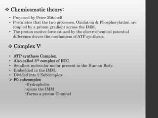  Chemiosmotic theory:
• Proposed by Peter Mitchell
• Postulates that the two processes, Oxidation & Phosphorylation are
coupled by a proton gradient across the IMM.
• The proton motive force caused by the electrochemical potential
difference drives the mechanism of ATP synthesis.
 Complex V:
• ATP synthase Complex.
• Also called 5th complex of ETC.
• Smallest molecular motor present in the Human Body.
• Embedded in the IMM.
• Divided into 2 Subcomplex:
 F0 subcomplex
-Hydrophobic
-spans the IMM
-Forms a proton Channel
 