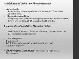 Inhibitors of Oxidative Phosphorylation
 Atractyloside
By inhibiting the transporter of ADP into and ATP out of the
mitochondrion.
 Oligomycin an Antibiotic
Completely blocks oxidation and phosphorylation. By blocking the
flow of protons through F0 Complex of ATP Synthase
Uncoupler of Oxidative Phosphorylation
Mechanism of Action—Disruption of Proton Gradient across the
inner mitochondrial membrane
• 2,4 Dinitrophenol
• Dinitrocresol
• FCCP [Fluoro Carbonyl Cyanide Phenyl hydrazine]
• Aspirin in high dose
 Physiological Uncouplers : Thyroxine (in high doses),
Thermogenin.
 