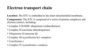 ETC.pptx
