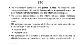 Electron Transport Chain PDF from U. Satyanarayana | PDF