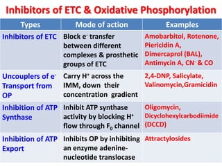 Etc and-oxd-phos-n-substrate-level-phos | PPTX