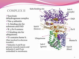 Electron transport chain and Oxidative phosphorylation | PPTX
