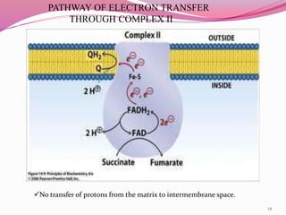 Electron transport chain and Oxidative phosphorylation | PPTX