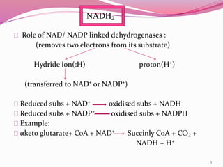 Electron transport chain and Oxidative phosphorylation | PPTX