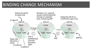 BINDING CHANGE MECHANISM
 