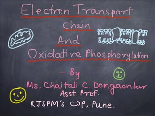 Etc and oxidative phophorylation