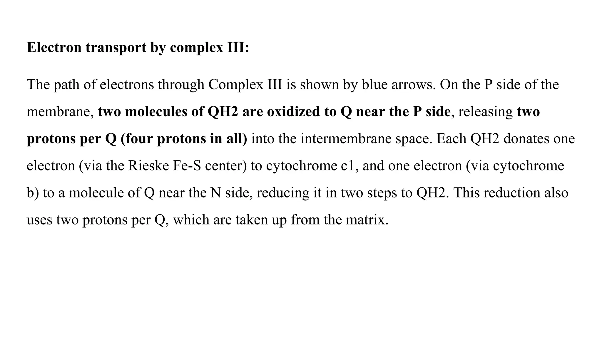 Electron transport by complex III:
The path of electrons through Complex III is shown by blue arrows. On the P side of the
membrane, two molecules of QH2 are oxidized to Q near the P side, releasing two
protons per Q (four protons in all) into the intermembrane space. Each QH2 donates one
electron (via the Rieske Fe-S center) to cytochrome c1, and one electron (via cytochrome
b) to a molecule of Q near the N side, reducing it in two steps to QH2. This reduction also
uses two protons per Q, which are taken up from the matrix.
 