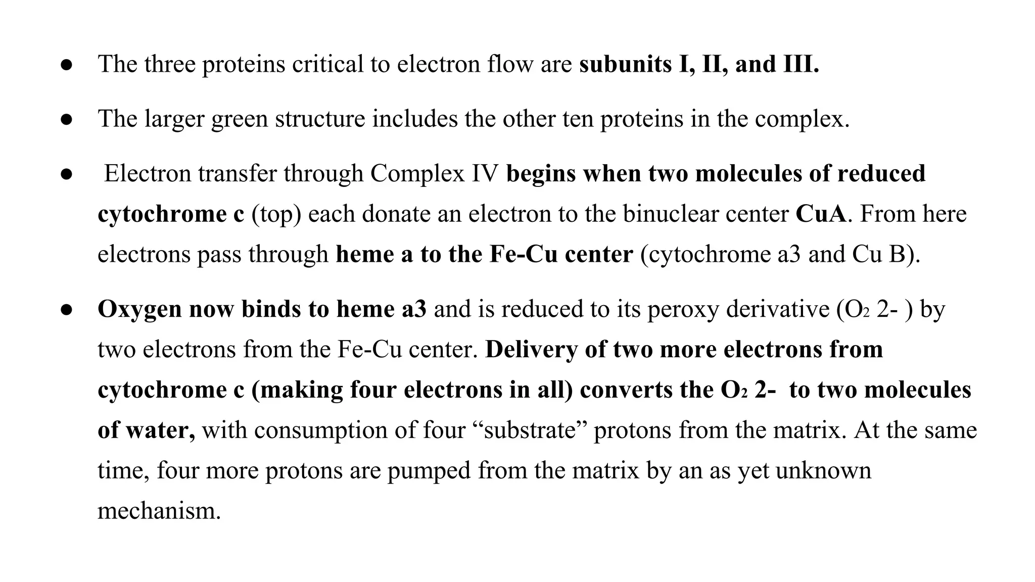 ● The three proteins critical to electron flow are subunits I, II, and III.
● The larger green structure includes the other ten proteins in the complex.
● Electron transfer through Complex IV begins when two molecules of reduced
cytochrome c (top) each donate an electron to the binuclear center CuA. From here
electrons pass through heme a to the Fe-Cu center (cytochrome a3 and Cu B).
● Oxygen now binds to heme a3 and is reduced to its peroxy derivative (O2 2- ) by
two electrons from the Fe-Cu center. Delivery of two more electrons from
cytochrome c (making four electrons in all) converts the O2 2- to two molecules
of water, with consumption of four “substrate” protons from the matrix. At the same
time, four more protons are pumped from the matrix by an as yet unknown
mechanism.
 