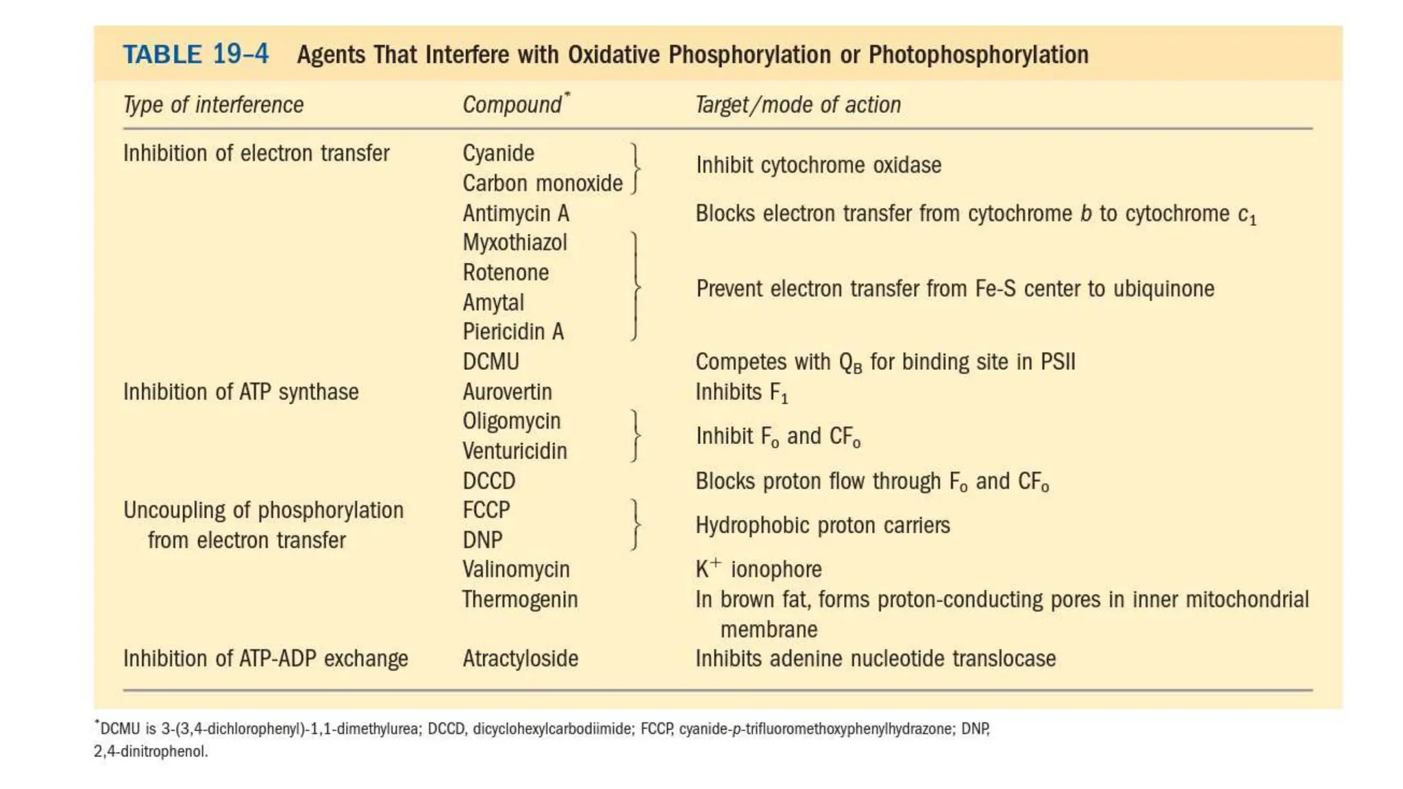 _ETC and  Oxidative phosphorylation.pptx