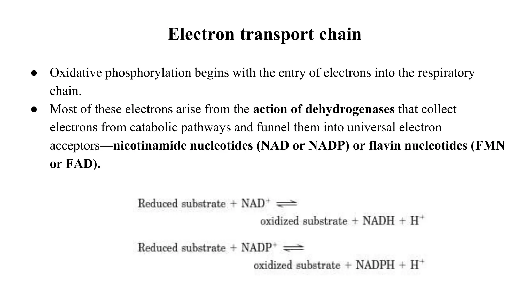 Electron transport chain
● Oxidative phosphorylation begins with the entry of electrons into the respiratory
chain.
● Most of these electrons arise from the action of dehydrogenases that collect
electrons from catabolic pathways and funnel them into universal electron
acceptors—nicotinamide nucleotides (NAD or NADP) or flavin nucleotides (FMN
or FAD).
 