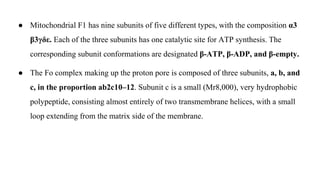 ● Mitochondrial F1 has nine subunits of five different types, with the composition α3
β3γδε. Each of the three subunits has one catalytic site for ATP synthesis. The
corresponding subunit conformations are designated β-ATP, β-ADP, and β-empty.
● The Fo complex making up the proton pore is composed of three subunits, a, b, and
c, in the proportion ab2c10–12. Subunit c is a small (Mr8,000), very hydrophobic
polypeptide, consisting almost entirely of two transmembrane helices, with a small
loop extending from the matrix side of the membrane.
 