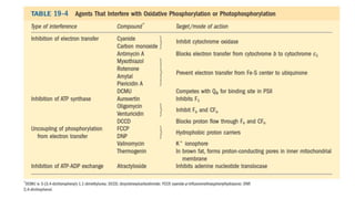 _ETC and  Oxidative phosphorylation.pptx