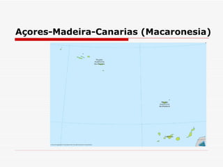 Açores-Madeira-Canarias (Macaronesia) 