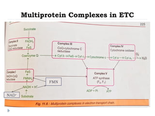 ETC Inhibitors and Uncouplers in biochemistry | PPTX