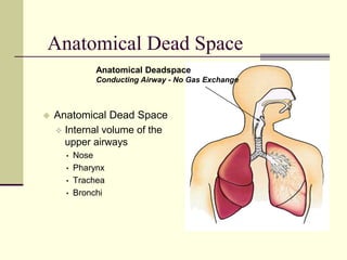 Anatomical Dead Space
 Anatomical Dead Space
 Internal volume of the
upper airways
• Nose
• Pharynx
• Trachea
• Bronchi
Anatomical Deadspace
Conducting Airway - No Gas Exchange
 