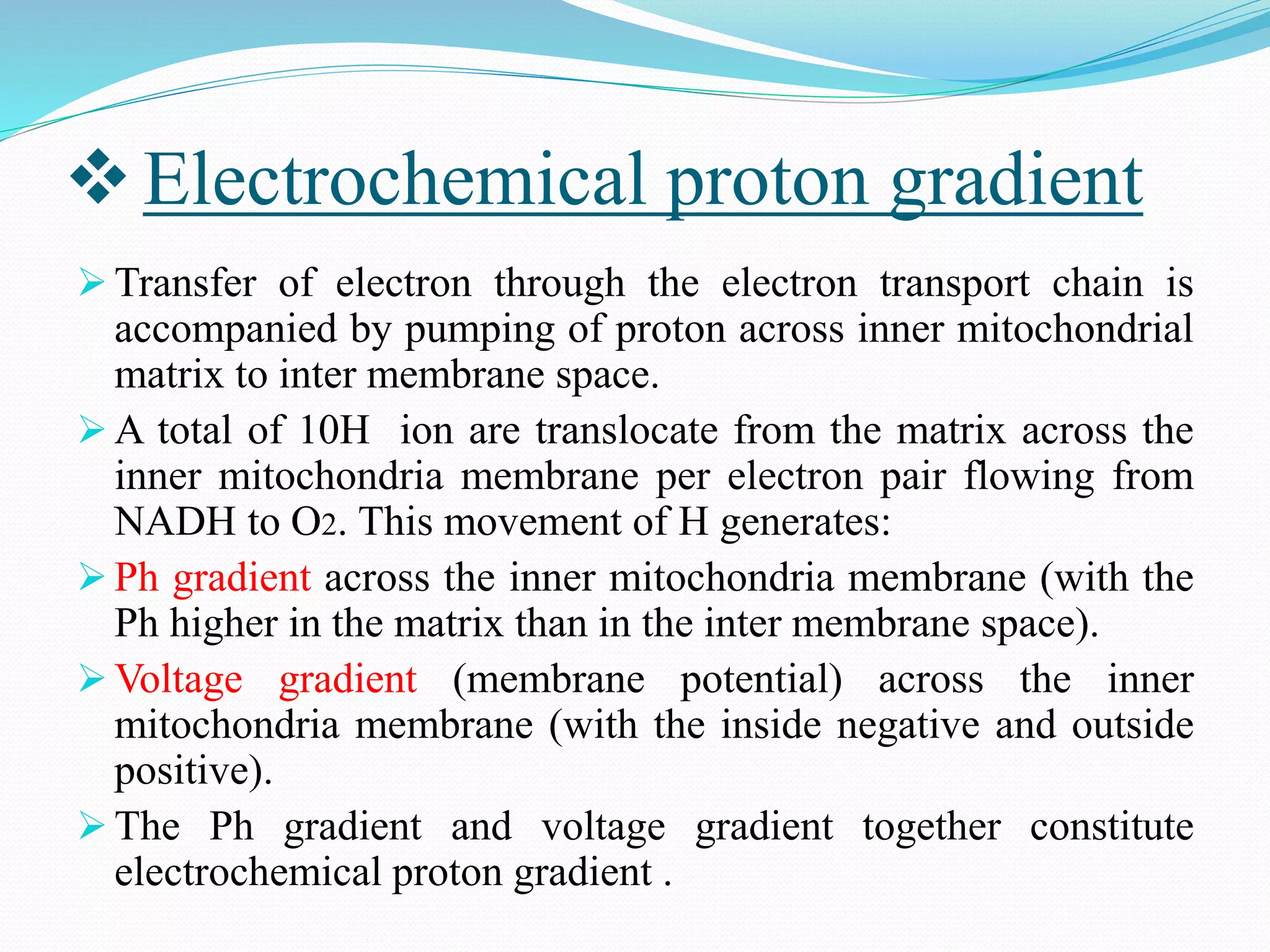 Electron Transport Chain and oxidative phosphorylation @meetpadhiyar