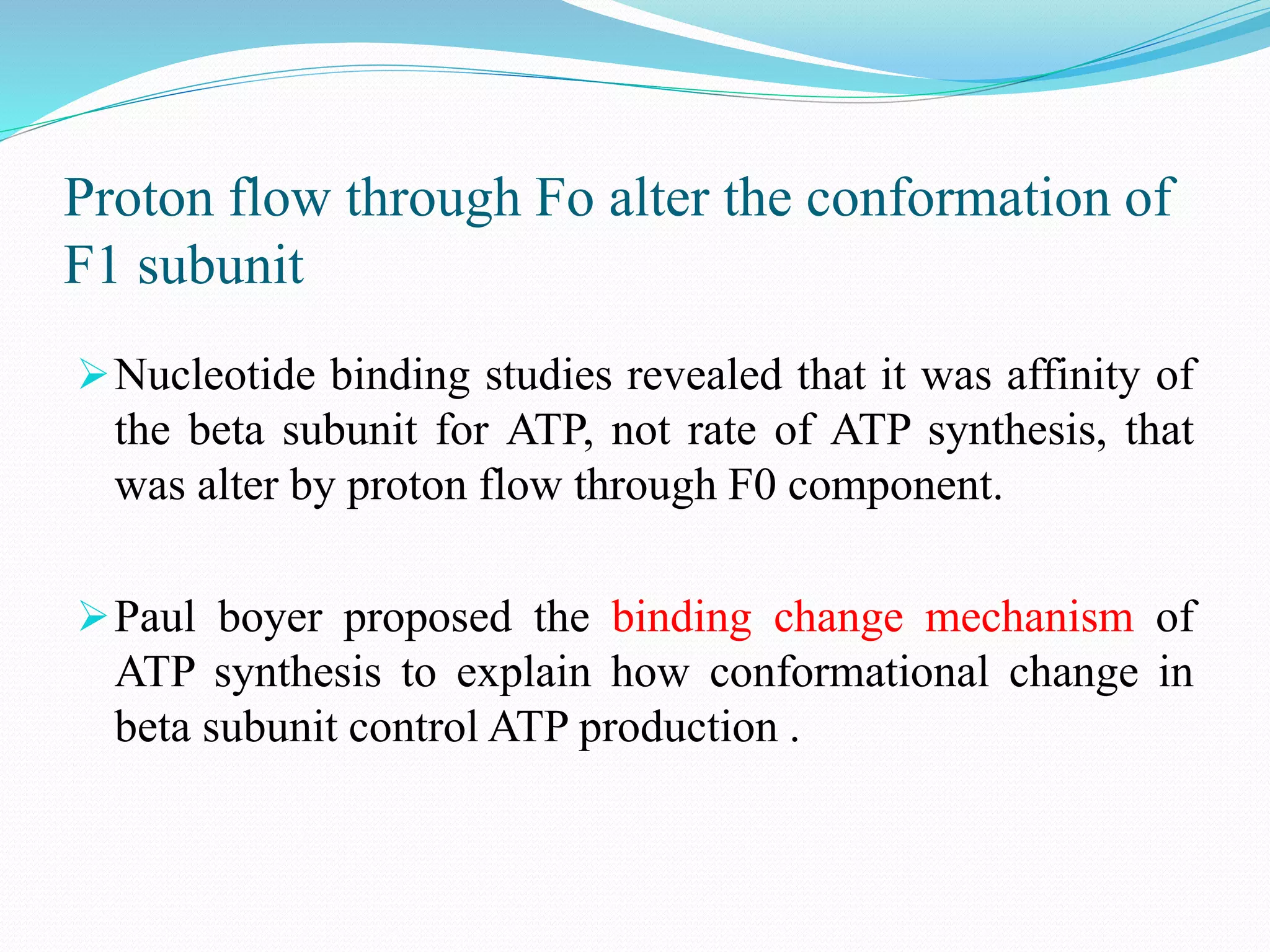 Electron Transport Chain and oxidative phosphorylation @meetpadhiyar