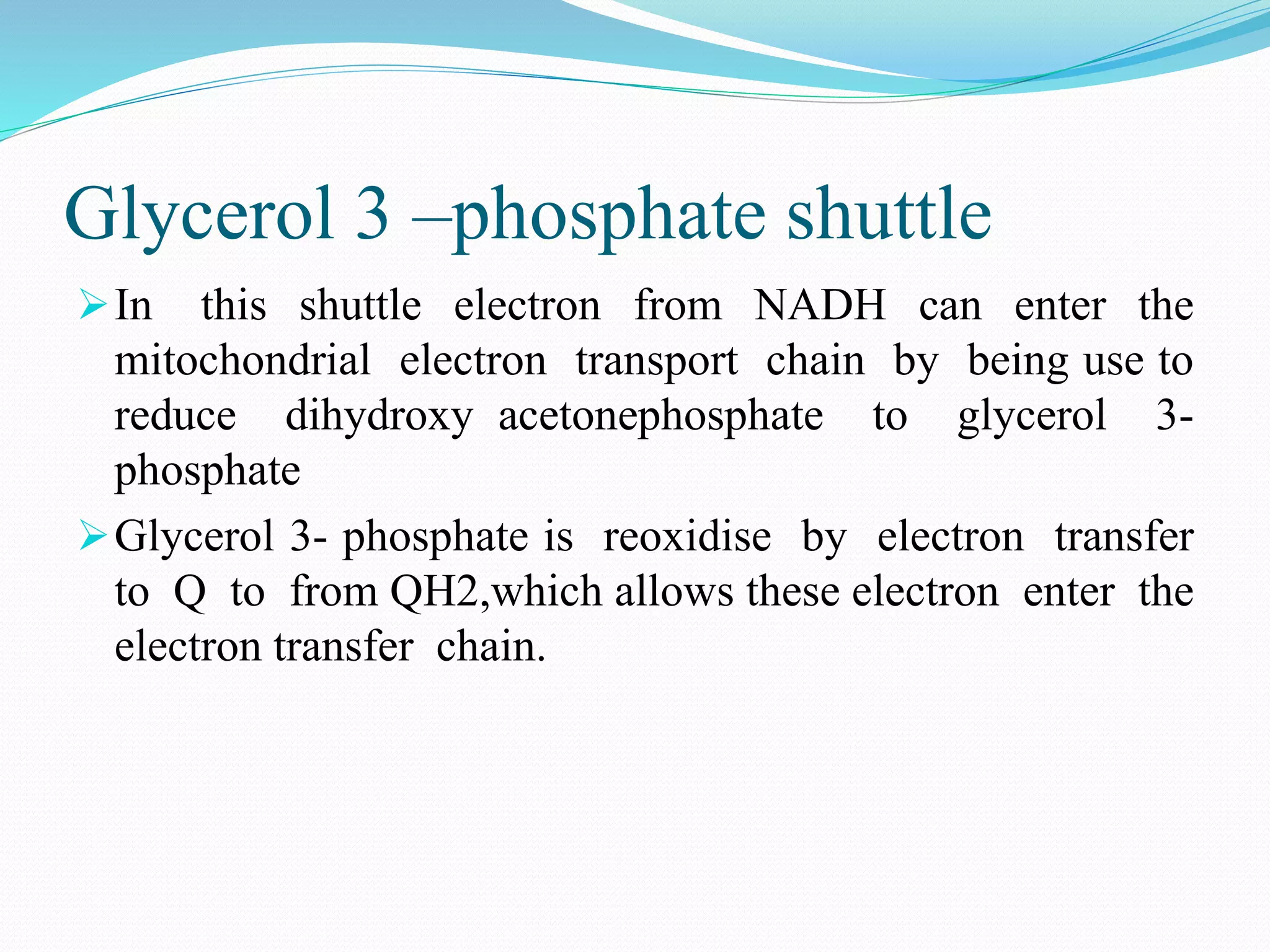 Electron Transport Chain and oxidative phosphorylation @meetpadhiyar