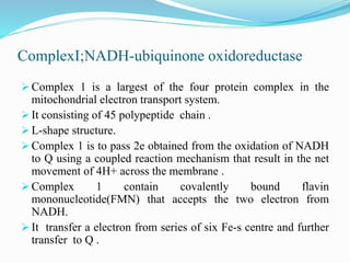 Electron Transport Chain and oxidative phosphorylation @meetpadhiyar | PPTX