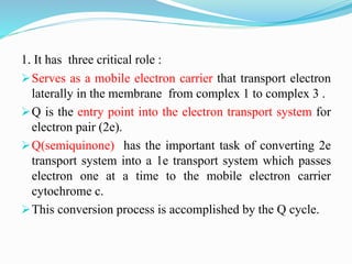 Electron Transport Chain and oxidative phosphorylation @meetpadhiyar | PPTX