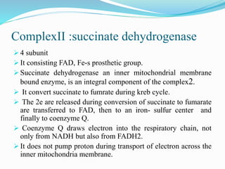 Electron Transport Chain and oxidative phosphorylation @meetpadhiyar | PPTX