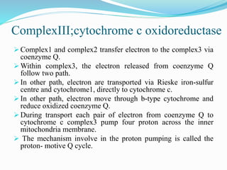 Electron Transport Chain and oxidative phosphorylation @meetpadhiyar | PPTX