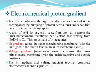Electron Transport Chain and oxidative phosphorylation @meetpadhiyar | PPTX