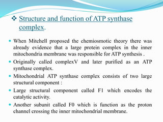 Electron Transport Chain and oxidative phosphorylation @meetpadhiyar | PPTX