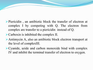 Electron Transport Chain and oxidative phosphorylation @meetpadhiyar | PPTX