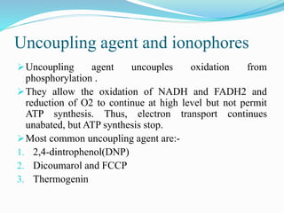 Electron Transport Chain and oxidative phosphorylation @meetpadhiyar | PPTX