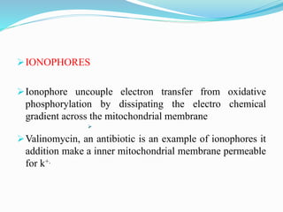 Electron Transport Chain and oxidative phosphorylation @meetpadhiyar | PPTX