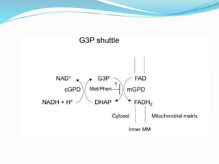 Electron Transport Chain and oxidative phosphorylation @meetpadhiyar | PPTX