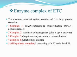 Electron Transport Chain and oxidative phosphorylation @meetpadhiyar | PPTX