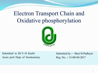 Electron Transport Chain and
Oxidative phosphorylation
Submitted by :- Meet H Padhiyar
Reg. No. :- 13-00148-2017
Submitted to :Dr V. H. Kanbi
Assot. prof. Dept. of biochemistry
1
 