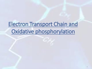 Electron Transport Chain and
Oxidative phosphorylation
1
 