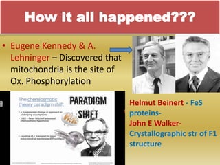 How it all happened???
• Eugene Kennedy & A.
Lehninger – Discovered that
mitochondria is the site of
Ox. Phosphorylation
Helmut Beinert - FeS
proteins-
John E Walker-
Crystallographic str of F1
structure
 