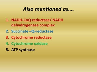 Also mentioned as….
1. NADH-CoQ reductase/ NADH
dehydrogenase complex
2. Succinate –Q-reductase
3. Cytochrome reductase
4. Cytochrome oxidase
5. ATP synthase
 