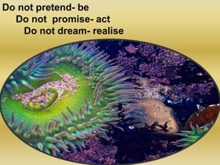 Do not pretend- be
Do not promise- act
Do not dream- realise
 
