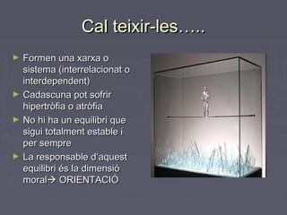 Cal teixir-les…..Cal teixir-les…..
► Formen una xarxa oFormen una xarxa o
sistema (interrelacionat osistema (interrelacionat o
interdependent)interdependent)
► Cadascuna pot sofrirCadascuna pot sofrir
hipertròfia o atròfiahipertròfia o atròfia
► No hi ha un equilibri queNo hi ha un equilibri que
sigui totalment estable isigui totalment estable i
per sempreper sempre
► La responsable d’aquestLa responsable d’aquest
equilibri és la dimensióequilibri és la dimensió
moralmoral ORIENTACIÓORIENTACIÓ
 