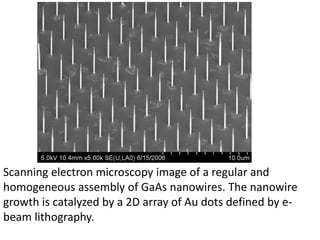 Scanning electron microscopy image of a regular and
homogeneous assembly of GaAs nanowires. The nanowire
growth is catalyzed by a 2D array of Au dots defined by e-
beam lithography.
 