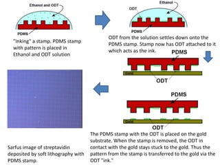 ODT from the solution settles down onto the
  "Inking" a stamp. PDMS stamp
                                             PDMS stamp. Stamp now has ODT attached to it
  with pattern is placed in
                                             which acts as the ink.
  Ethanol and ODT solution




                                     The PDMS stamp with the ODT is placed on the gold
                                     substrate. When the stamp is removed, the ODT in
Sarfus image of streptavidin         contact with the gold stays stuck to the gold. Thus the
deposited by soft lithography with   pattern from the stamp is transferred to the gold via the
PDMS stamp.                          ODT "ink."
 