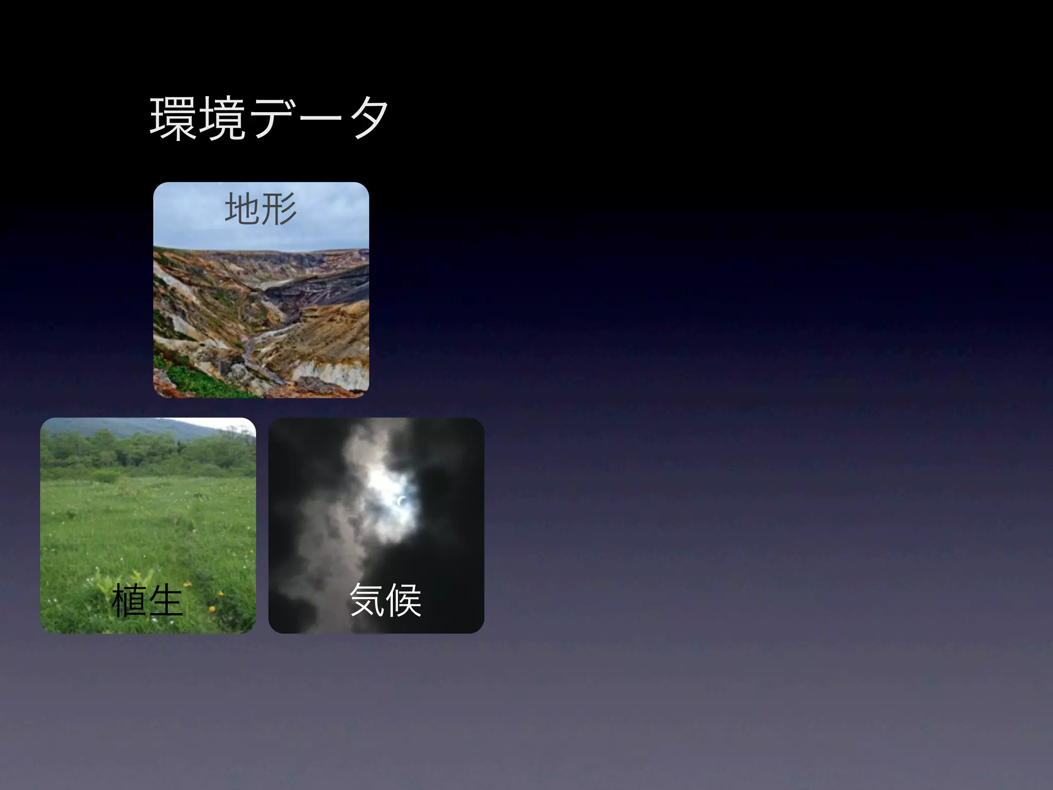 環境データ
     地形




植生        気候
 