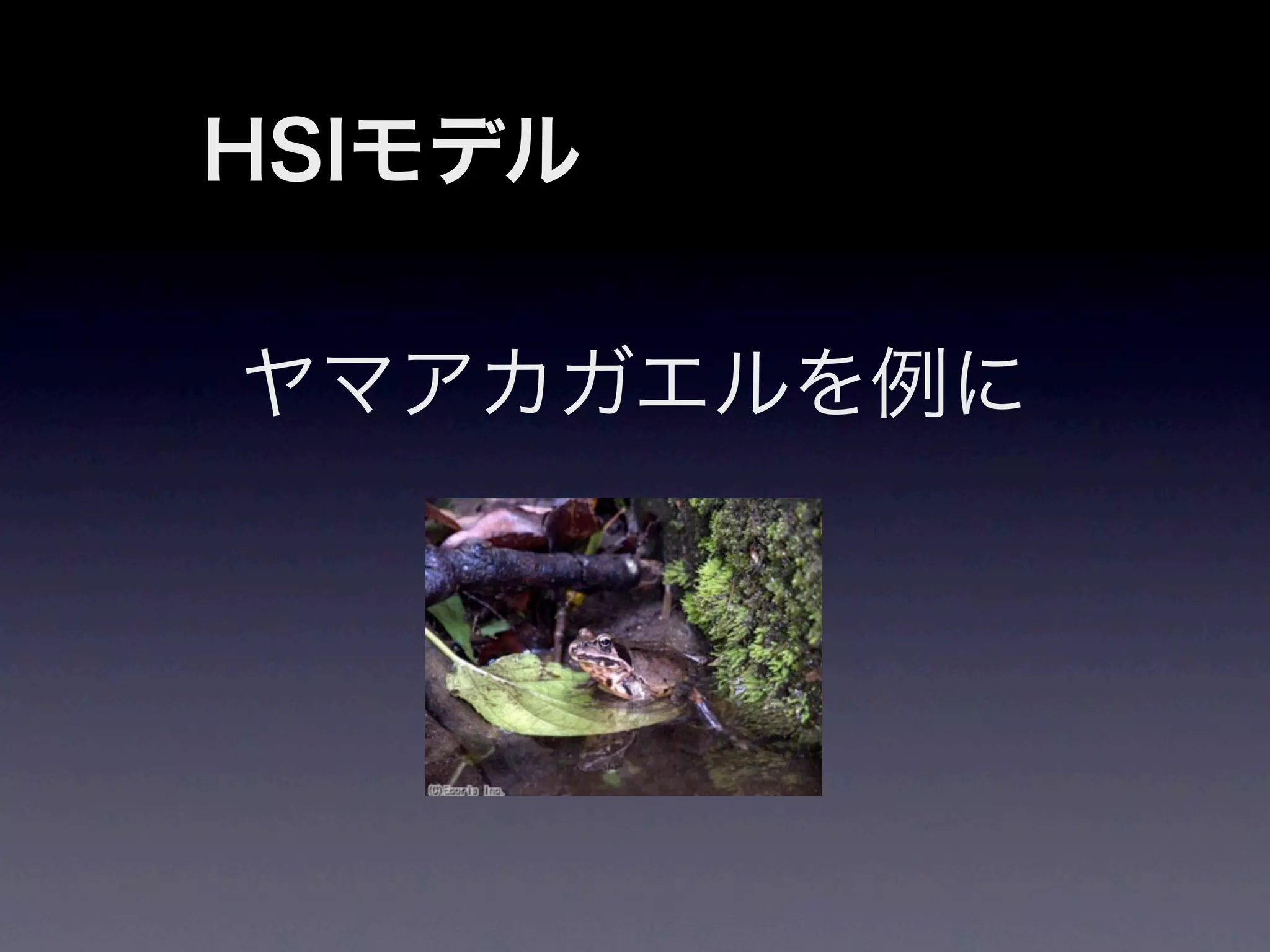 HSIモデル

ヤマアカガエルを例に
 